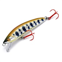 山夷　50S　TYPE－2